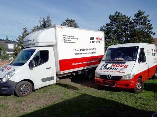 RE MOVE EXPERTS Auto-Flotte