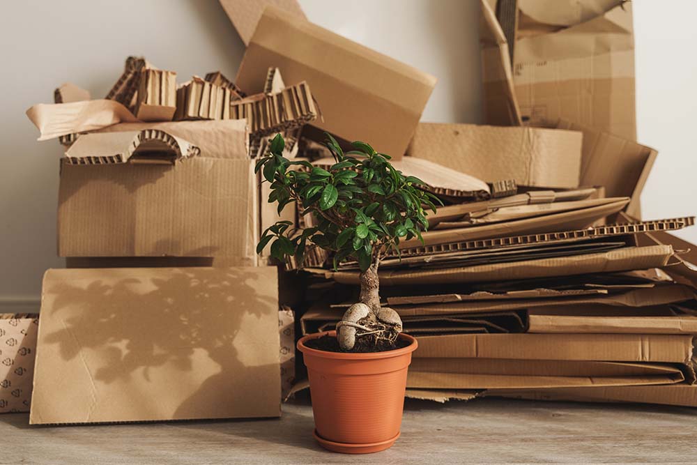 Räumung von Dachboden Wohnung Keller Garten Büro Geschäft Haus Messie